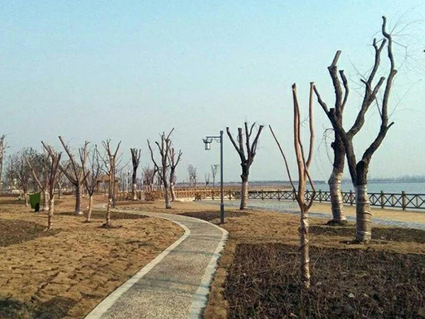 不要只关注哪个品种赚钱，这些也很重要！