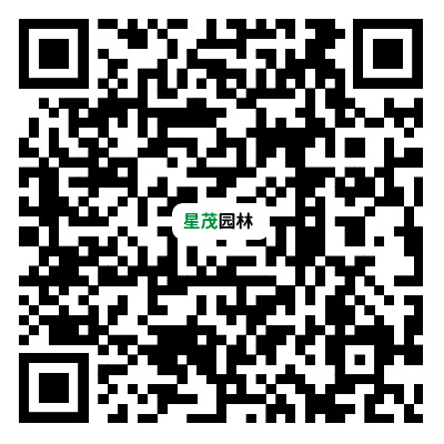 手机网站