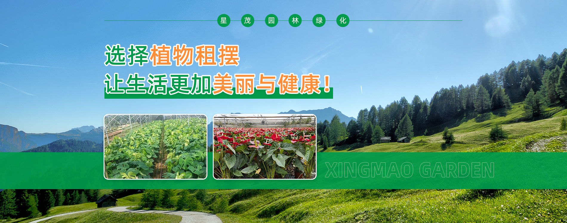 长沙星茂园林绿化工程有限公司